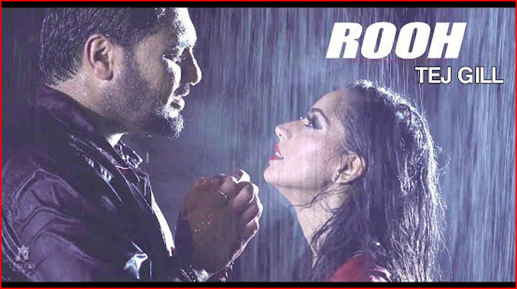 Rooh Lyrics Tej Gill Tera baal bingha naa hove, teri aayi traun mein mar javan rooh lyrics tej gill