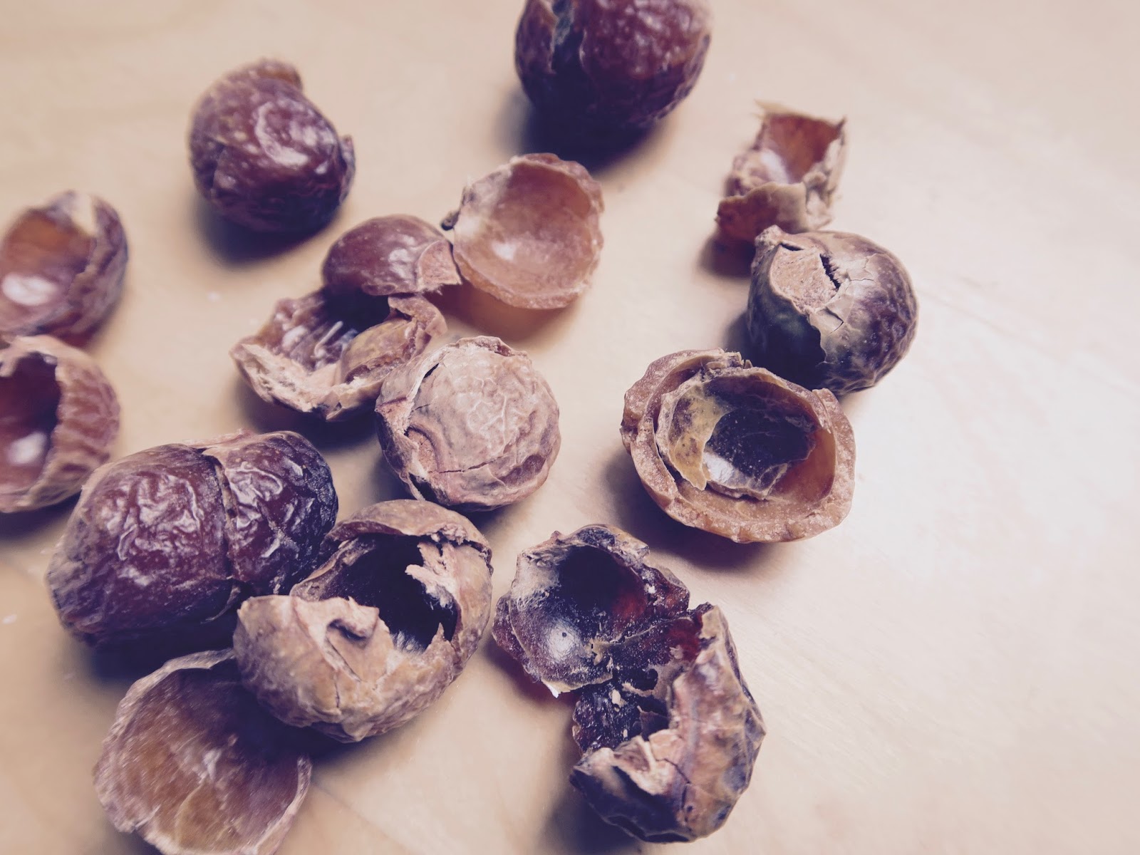 What are Soap Nuts? Curiously Conscious