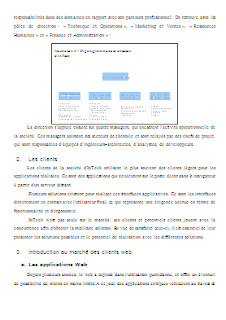 exemple mémoire développement commercial