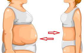 Exercise to lose Stomach and Belly Fat for ALL