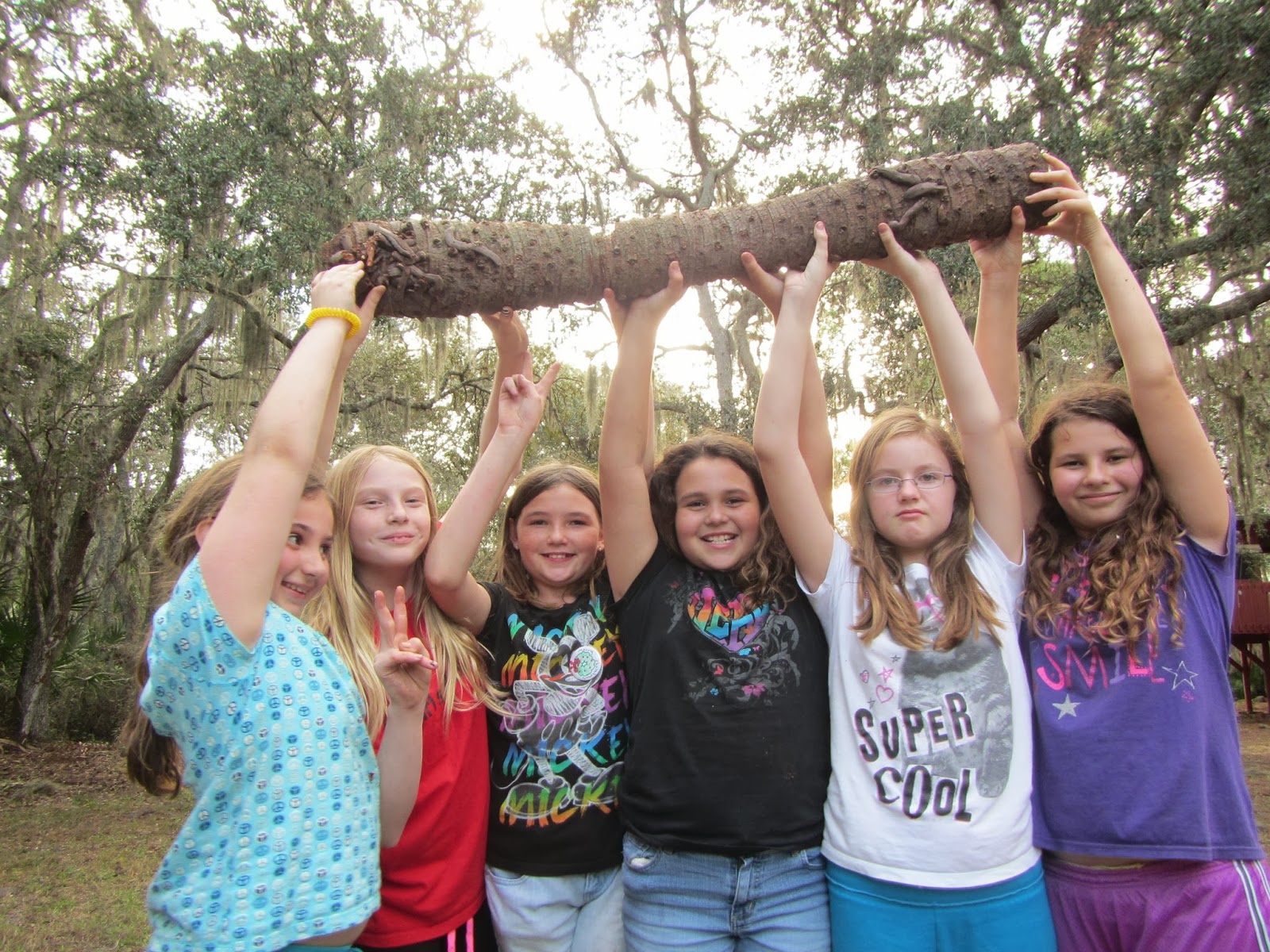 GIRL SCOUT TROOP 702 Holiday In The Woods 2013 Camp Honi Hanta