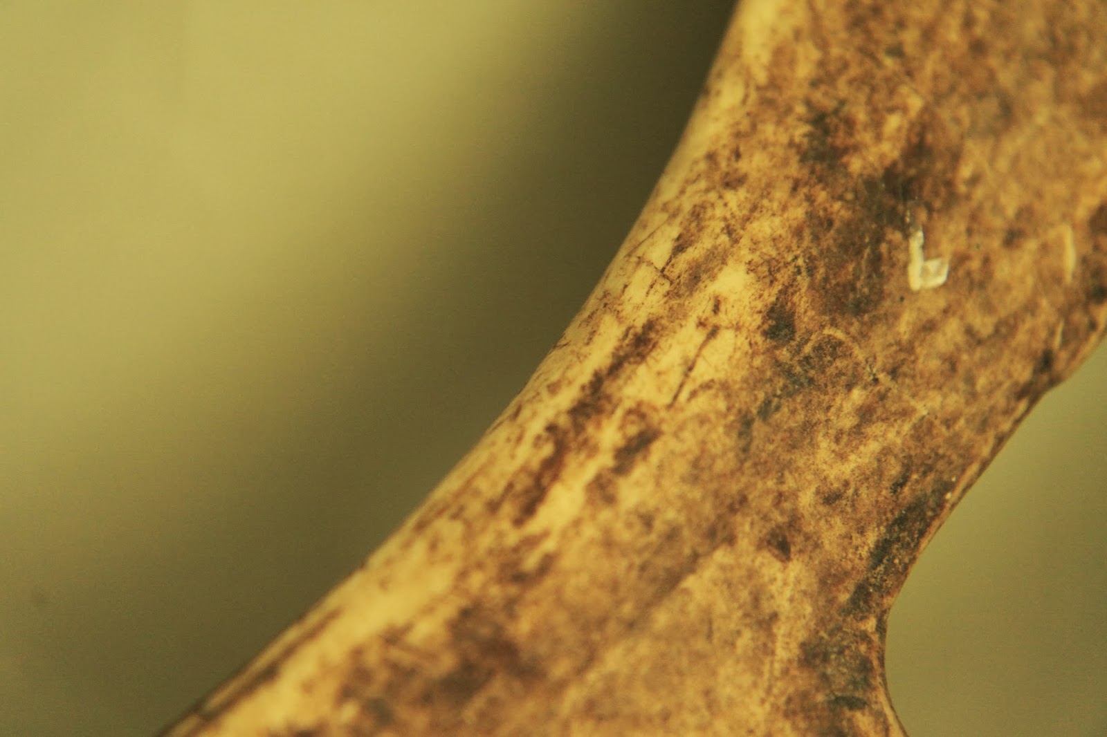 Modern Country Style Colour Study Farrow and Ball Hardwick White