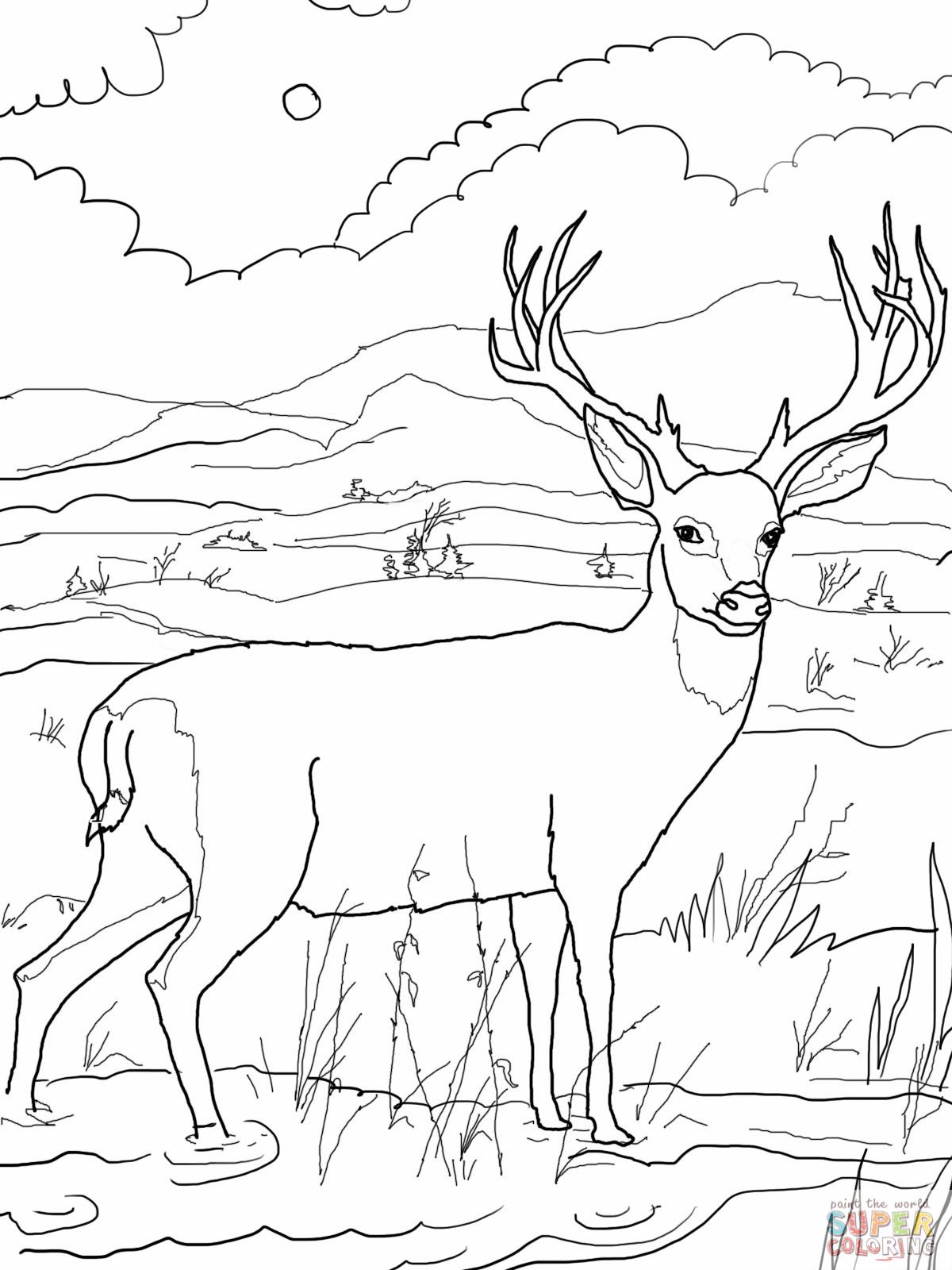 Deer Coloring Page Coloring Print deer-coloring-page-coloring-print