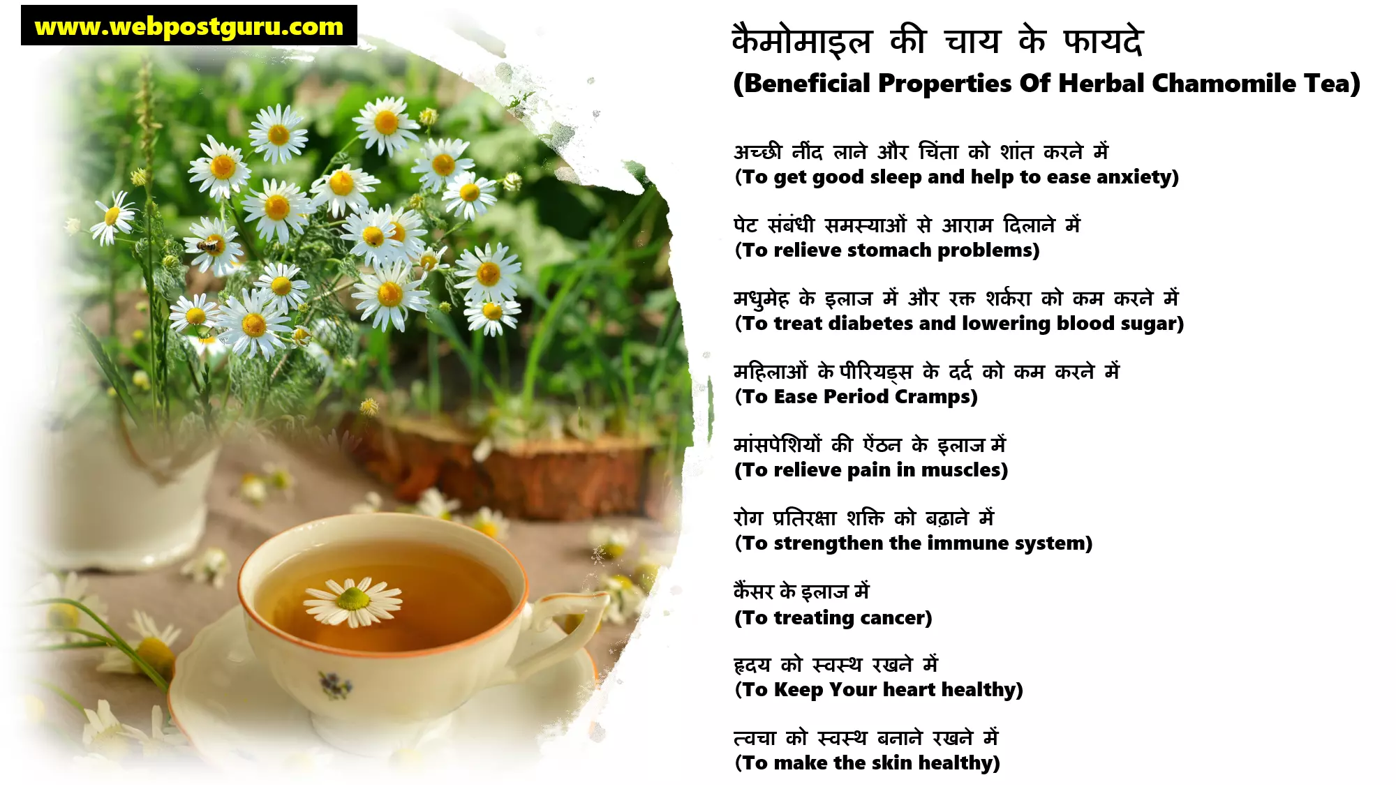 कैमोमाइल (बबूने का फूल) चाय के 10 फायदे और नुकसान Chamomile Tea In Hindi