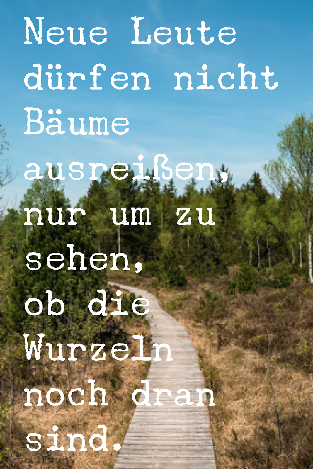 Outdoor Blog Wandern Best Mountain Artists Trekking Wanderungen Die 50 Besten Zitate Zu Den Themen Wald Und Baume Waldzitate