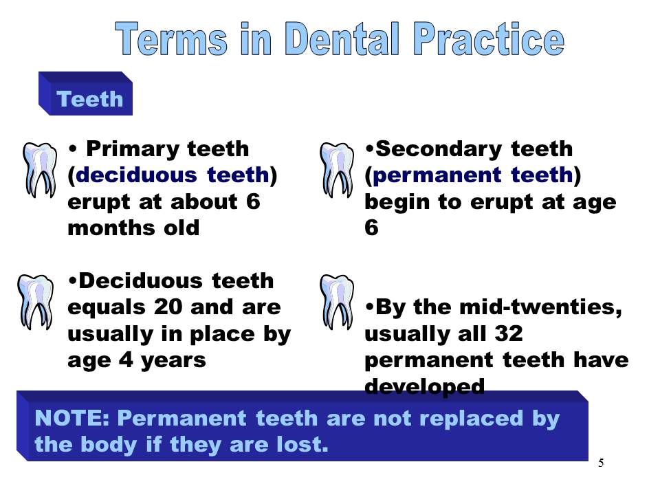 Dentistry Terms in Dental Practice