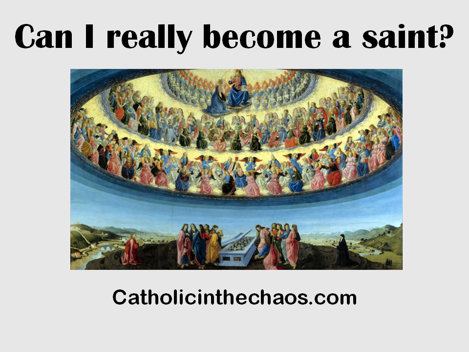 Catholic In the Chaos Can I Really a Saint?