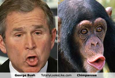 george-bush-monkey-1.jpg