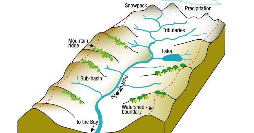 Ciri Ciri Das Terlengkap