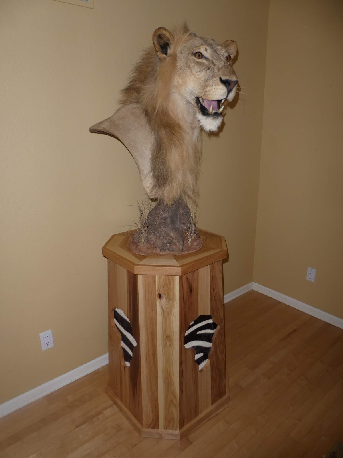 The Taxidermist's Wife Mounting a LionPedestal Shoulder Mount