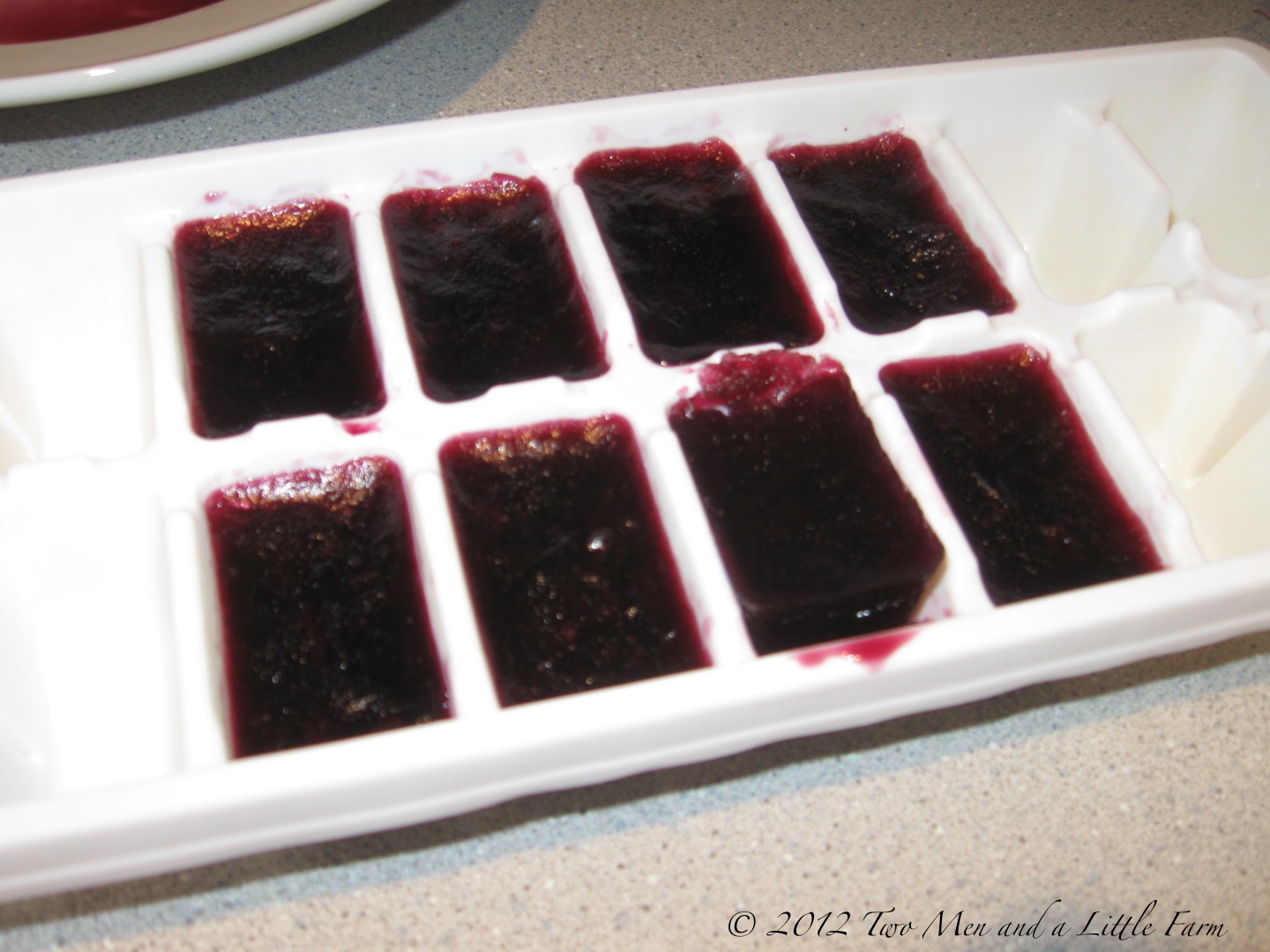 Two Men and a Little Farm FREEZE LEFTOVER WINE TO USE IN COOKING