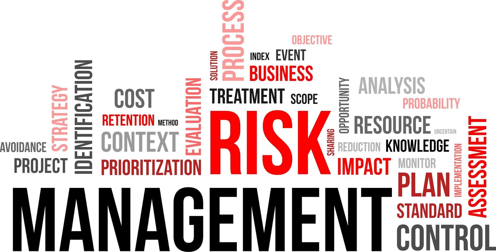 LEGAL RISK MANAGEMENT, O DIREITO E O RISCO