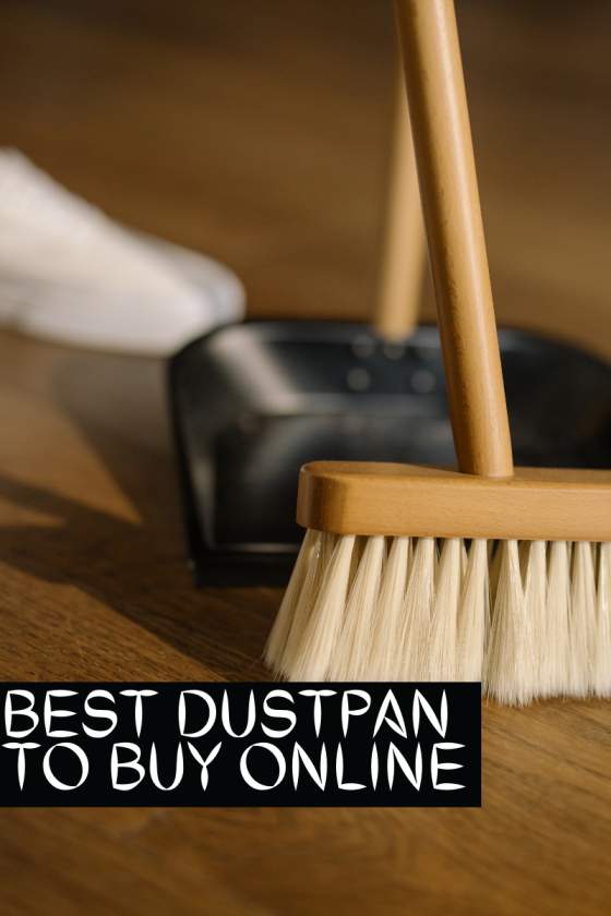 Best Dustpan with Long Handle Best Dustpan with Long Handle