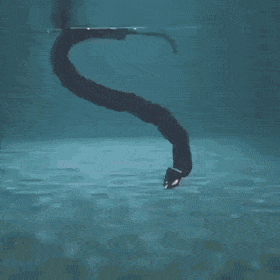 Eelume eelume, robôs bizarros, androides bizarros, robôs assustadores, creepy robots