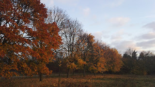 VTT en automne