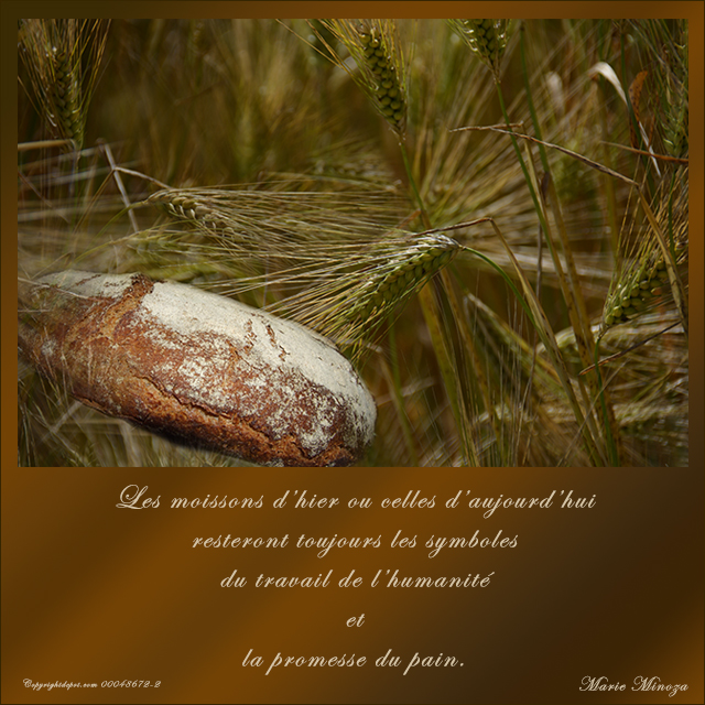 Avis Sur Les Moissons Du Printemps Au pays des images et des mots: Bouquet de mots:...Les moissons...