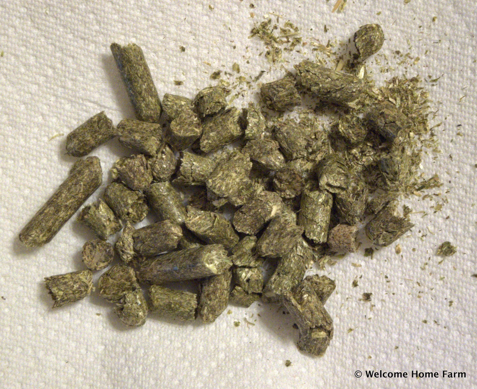 Home Farm Animal Feed