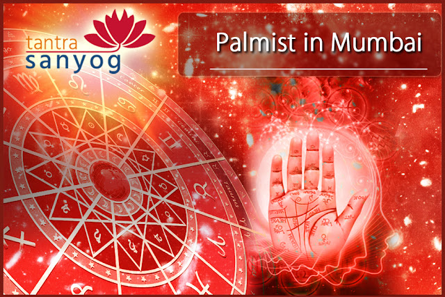 Palmist in Mumbai