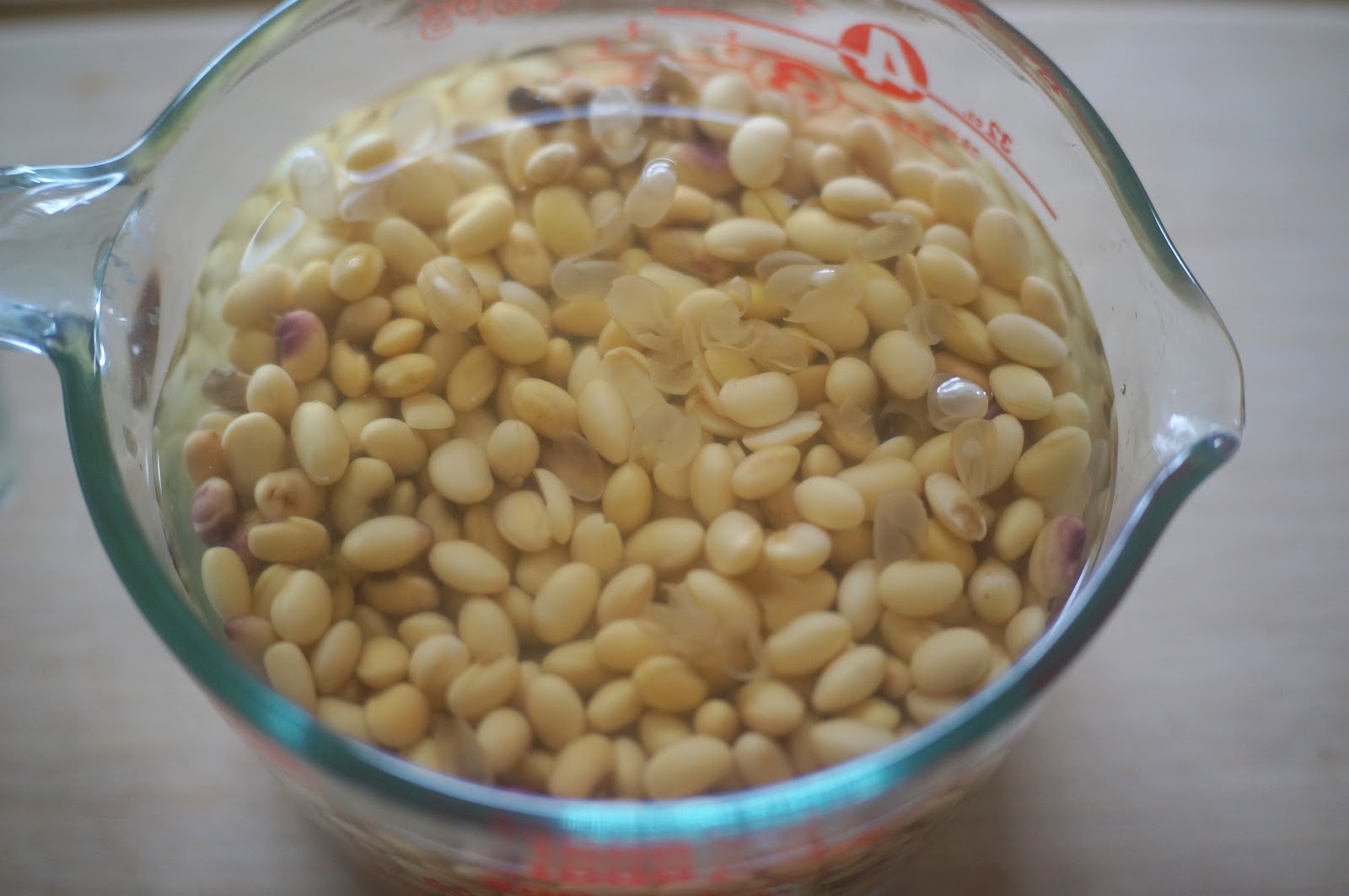 Ground Soybean Stew Biji Jjigae (비지찌개)