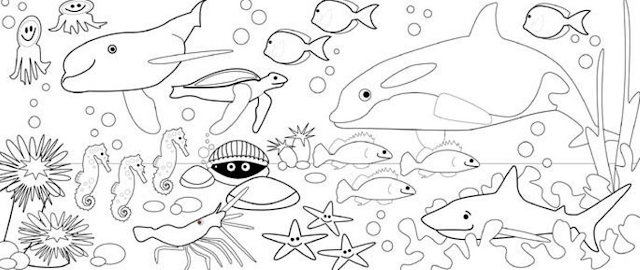 Kumpulan Sketsa Gambar Mewarnai Binatang Laut Untuk Anak