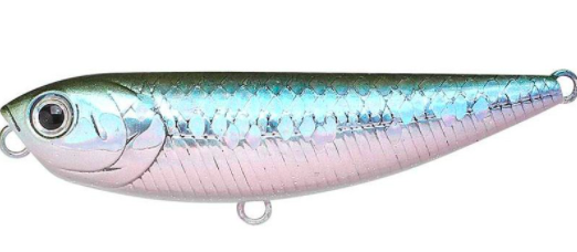 Sammy the best topwater lure by Lucky Craft