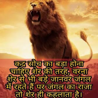 LION STATUS SHAYARI HINDI LION STATUS SHAYARI HINDI