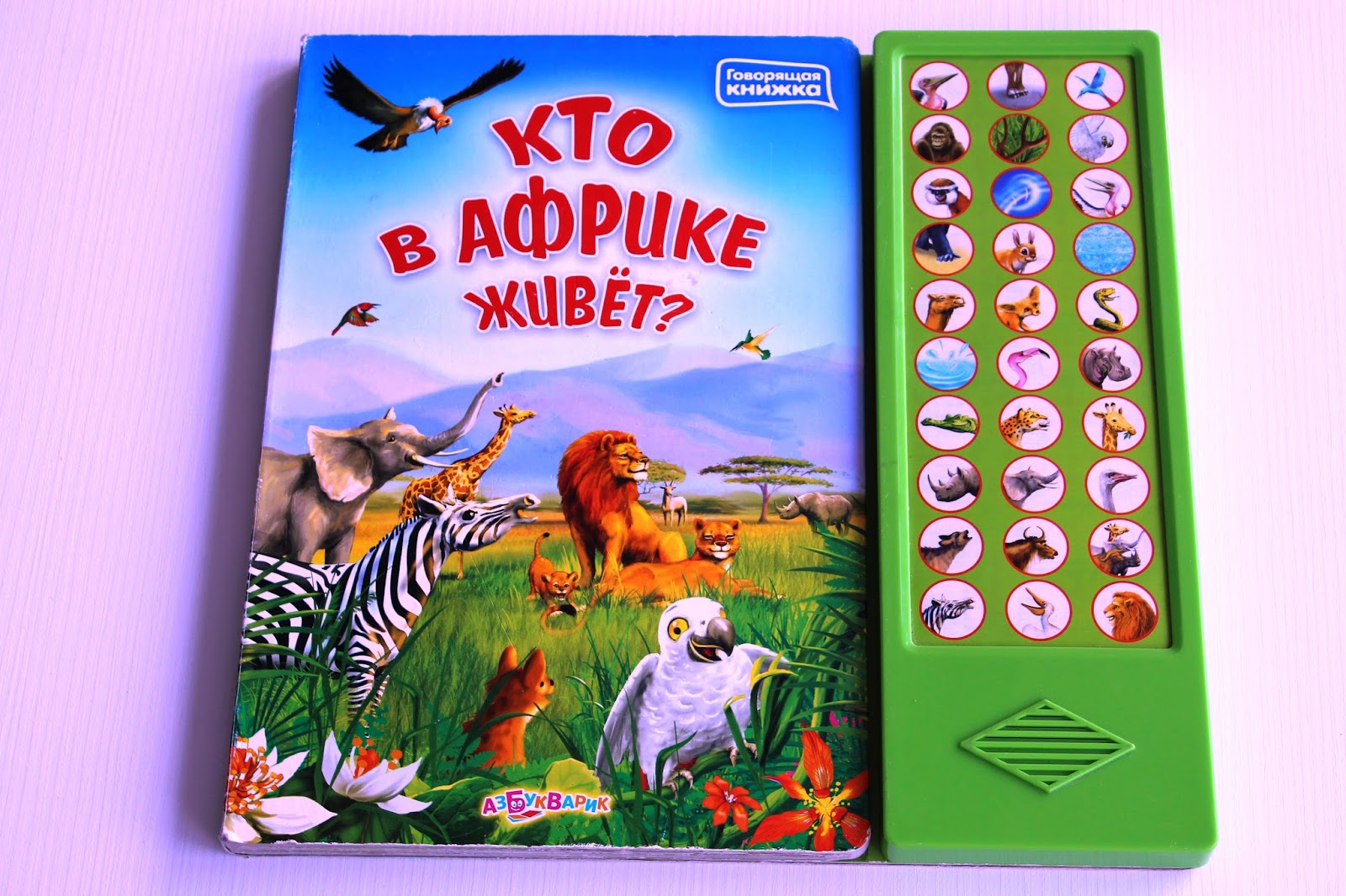 Говорящий книга фото
