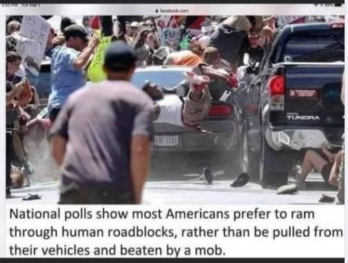 polls-show-americans-rather-run-through-mob-rather-than-pulled-from-car-beaten.jpg