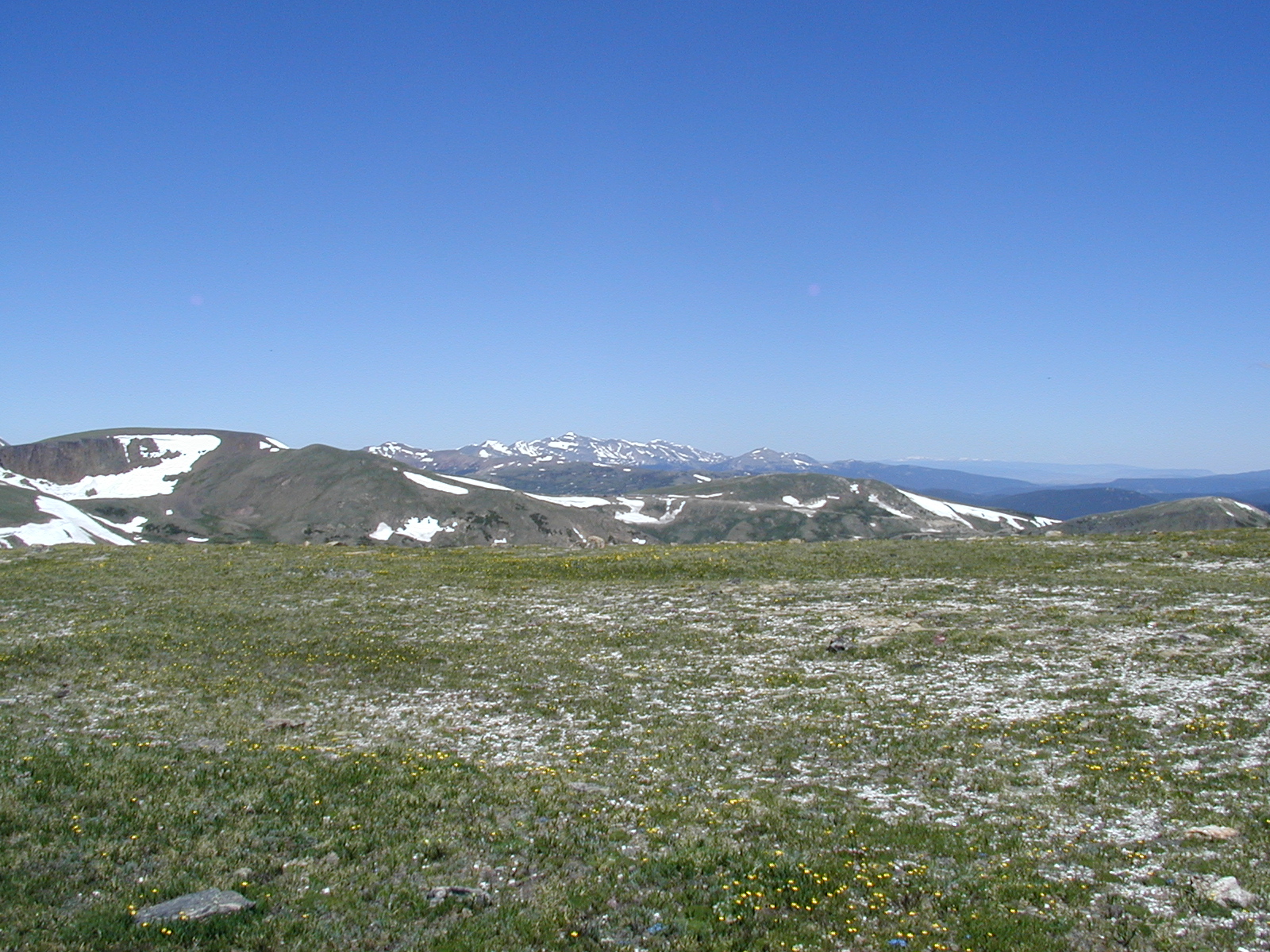 Mammoth Steppe Wikipedia