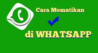 cara-mudah-mematikan-centang-biru-whatsapp