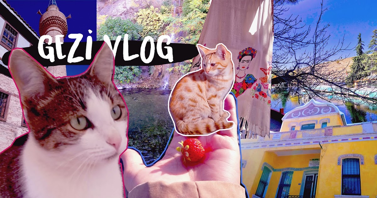 GEZİ VLOG Denizli Buldan,Dinar Suçıkan,Midas Efsanesi Fatofan