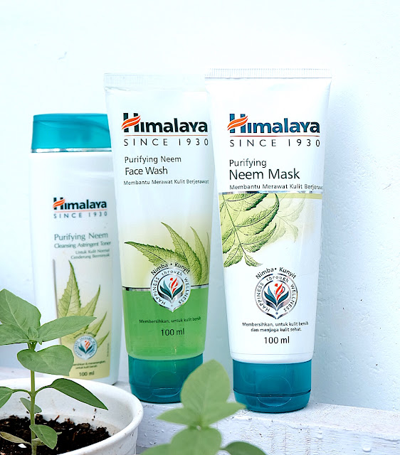 Download First Impression The Body Shop Superfood Face Masks Pengagum Pencipta Langit Yellowimages Mockups
