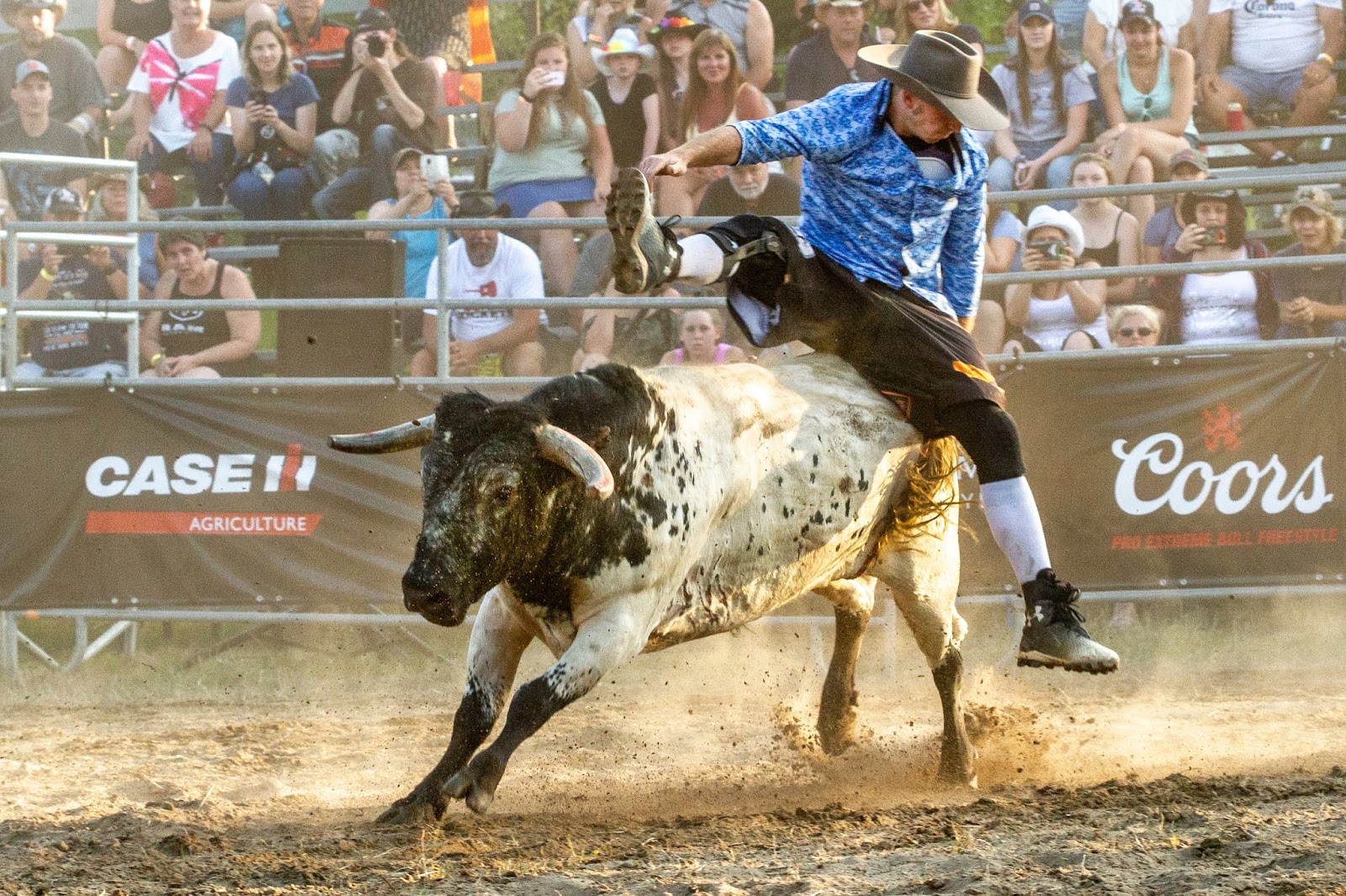 What is Freestyle Bullfighting? A Guide To The Extreme Sport - FloRodeo