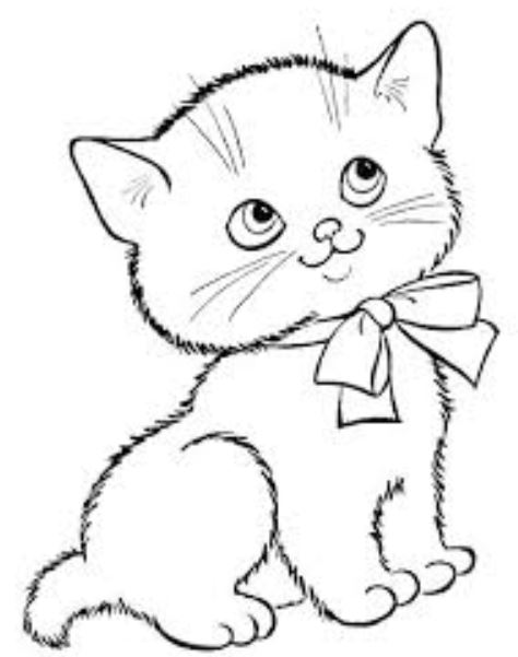 Gambar Mewarnai Kucing Betina Gambar Mewarnai Lucu