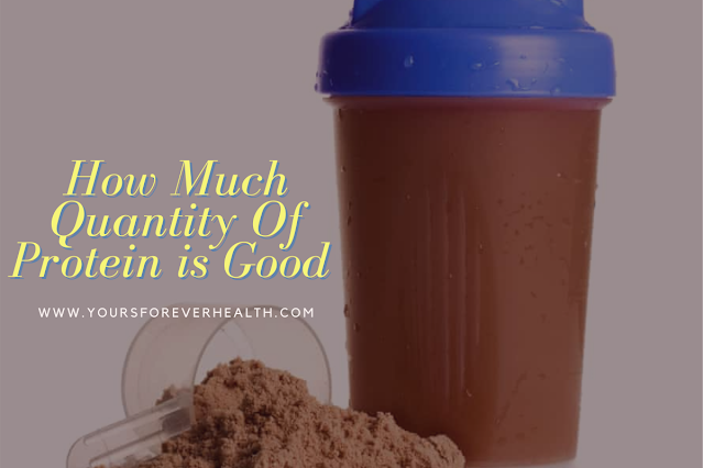 protein powder for muscle growth