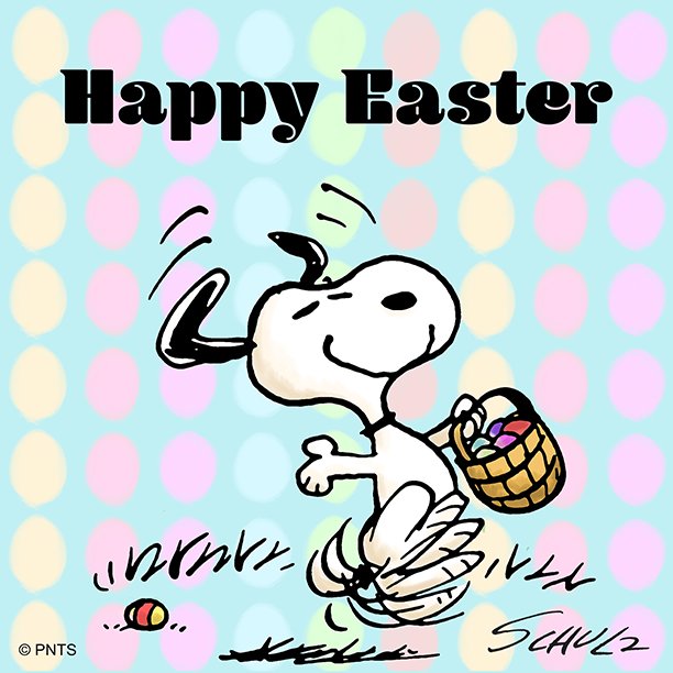 DZtticsVwAAg6ef.jpg (612Ã612)