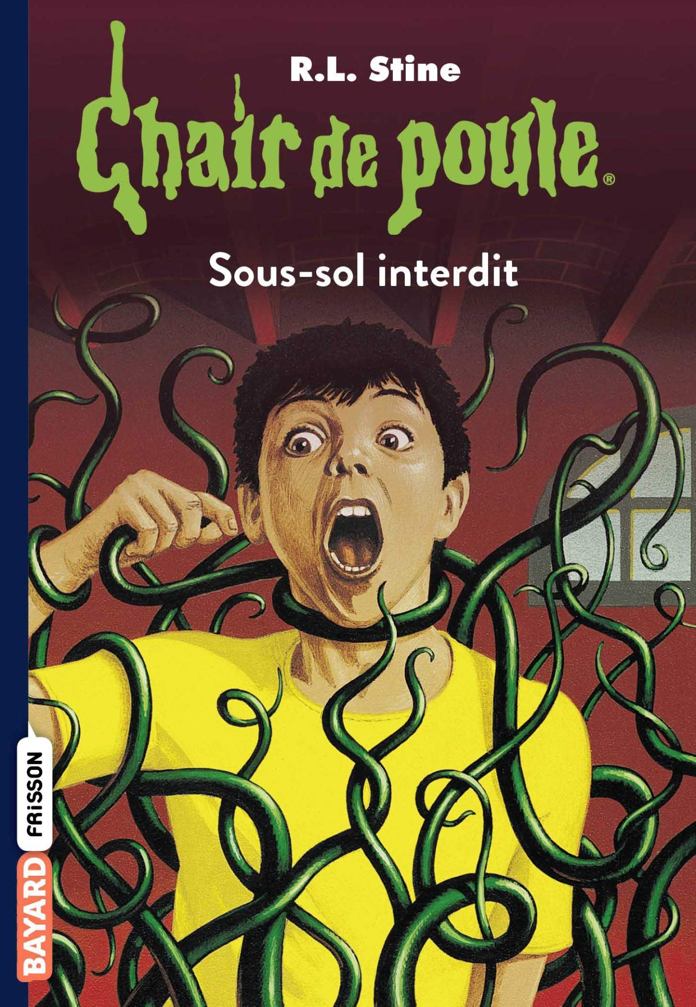 Chair De Poule 17 Sous Sol Interdit Chair De Poule 17 Sous Sol Interdit
