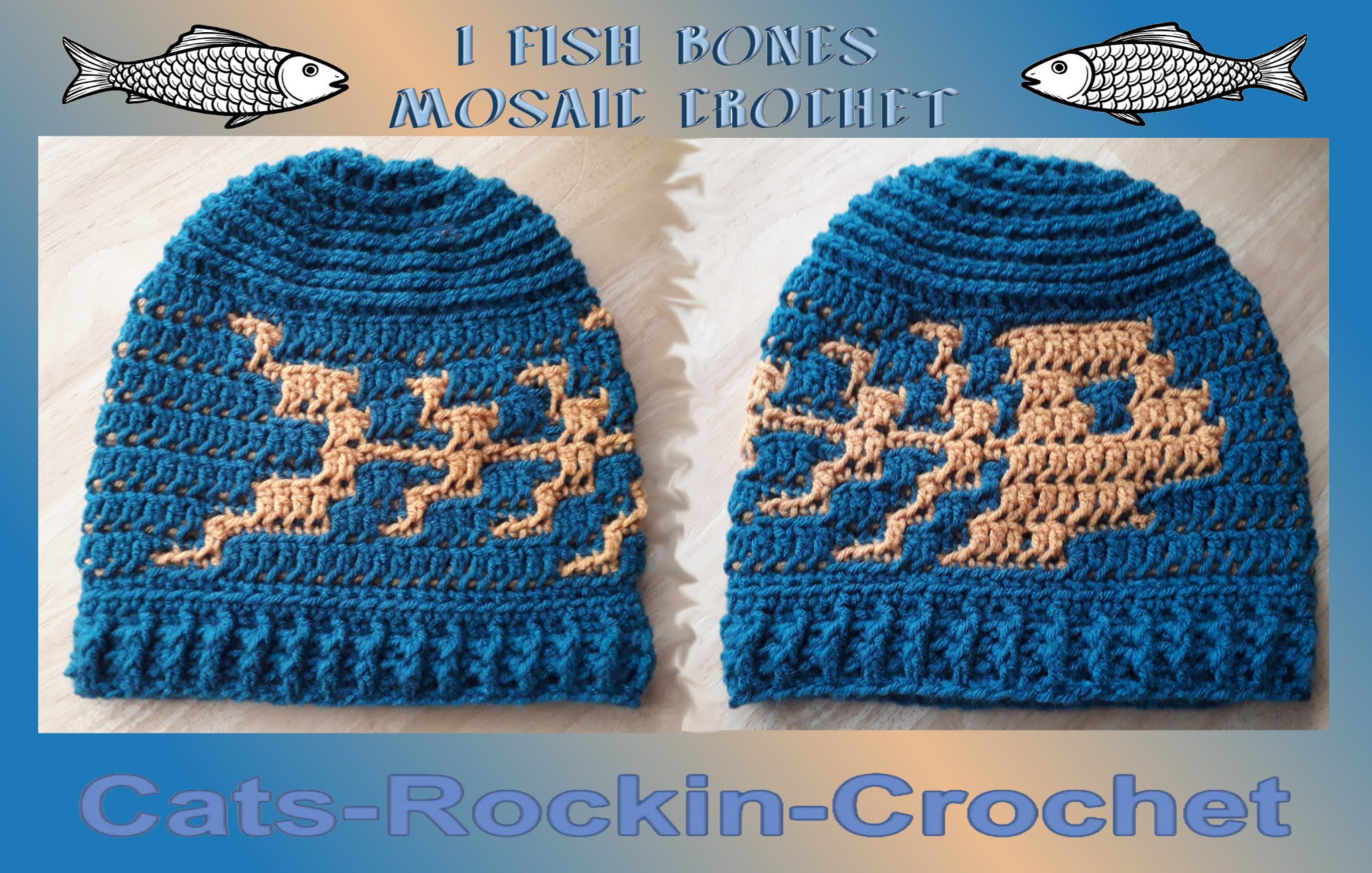 Cats Rockin Crochet Free Crochet And Knit Patterns The I Fish Bones Beanie