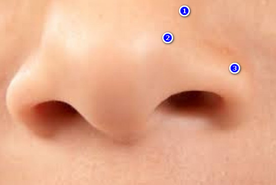 99+ Arti Kedutan Hidung Kiri Menurut Primbon Jawa dan Islam Lengkap