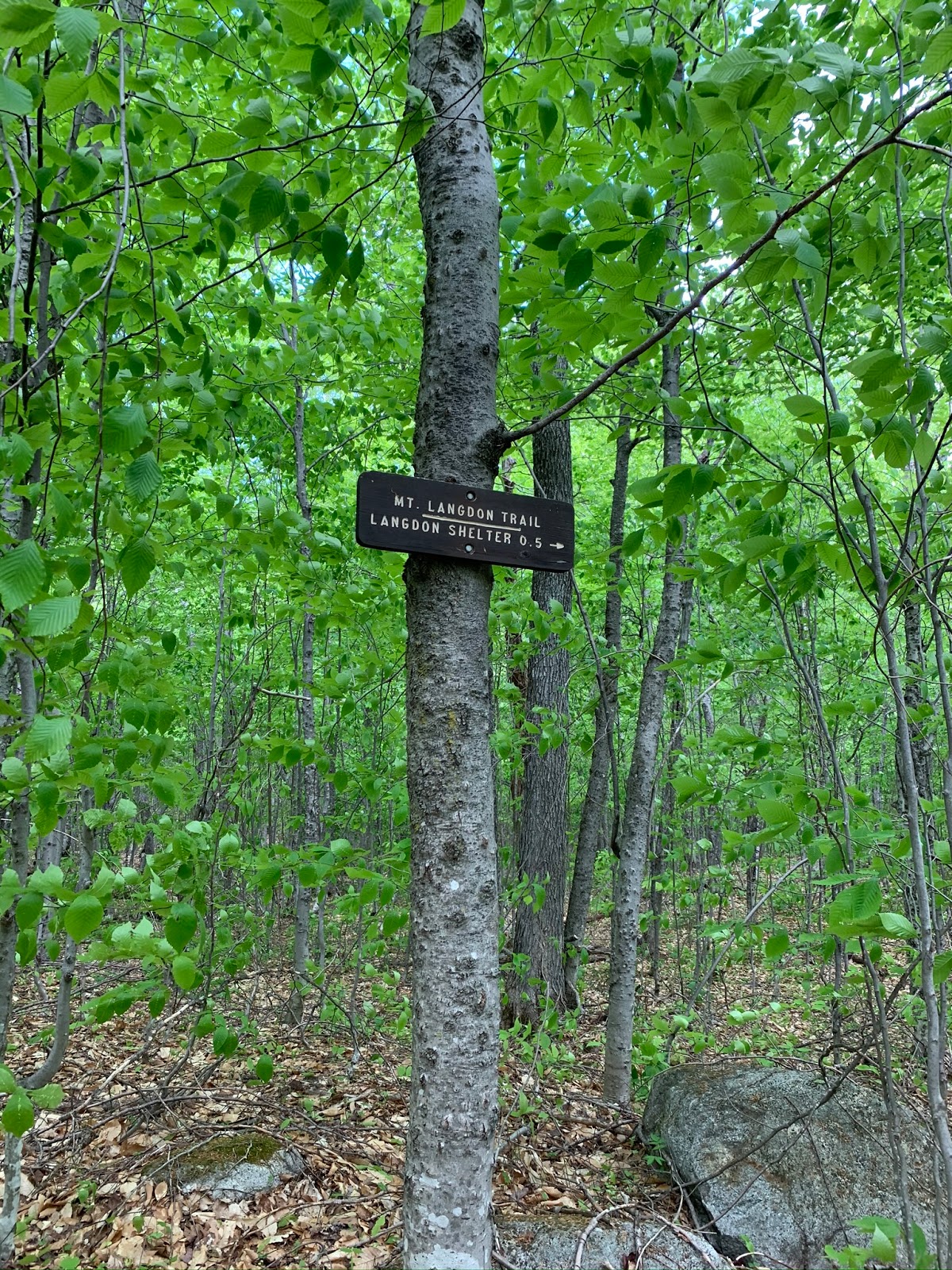 JCXC 52 With a View Mount Parker, Resolution, and South Knob via