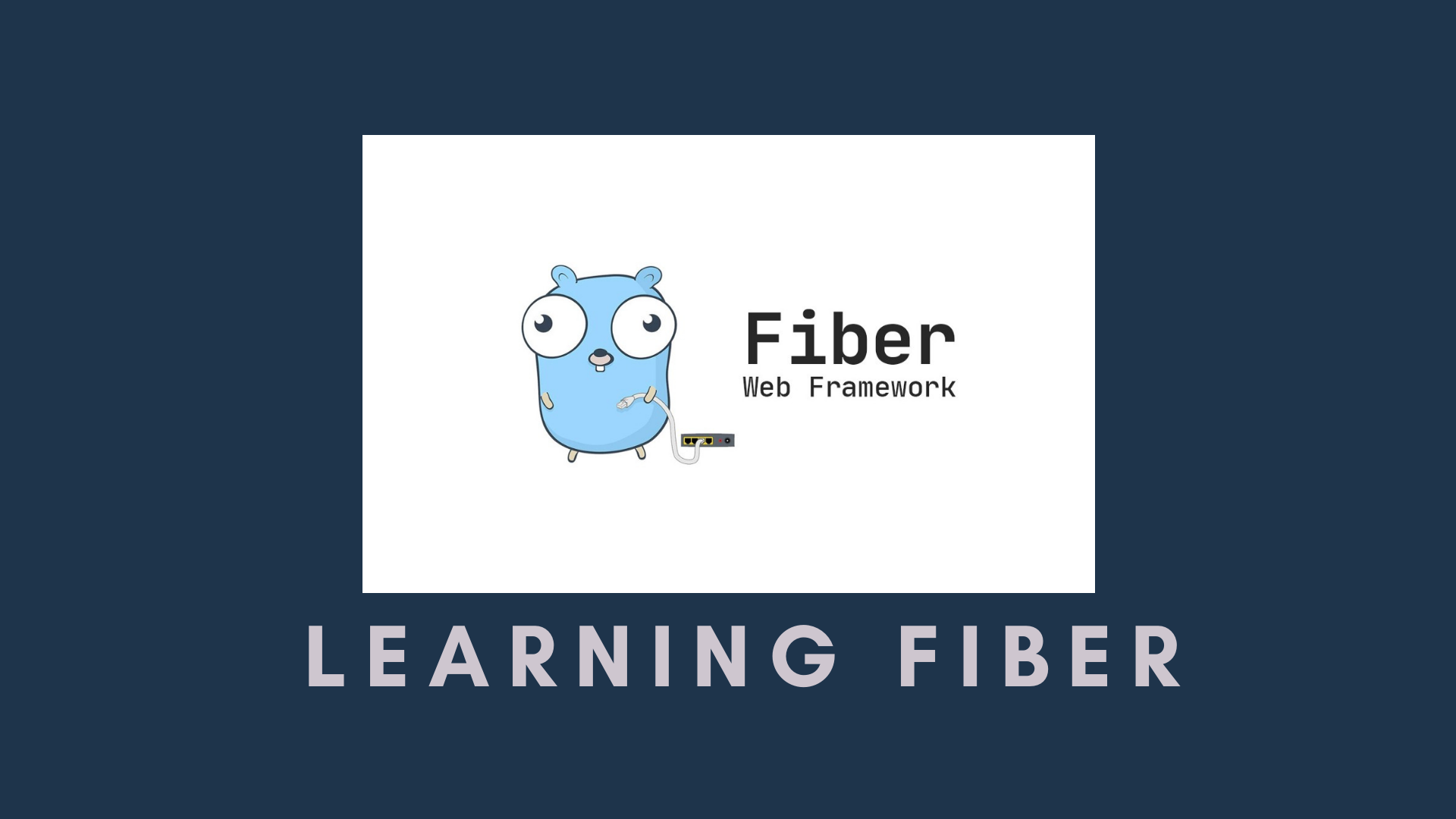 Berkenalan Dengan Fiber Framework Golang New and best 97,000 of desktop wallpapers, hd backgrounds for pc & mac, laptop, tablet, mobile ??? coder noob blogger