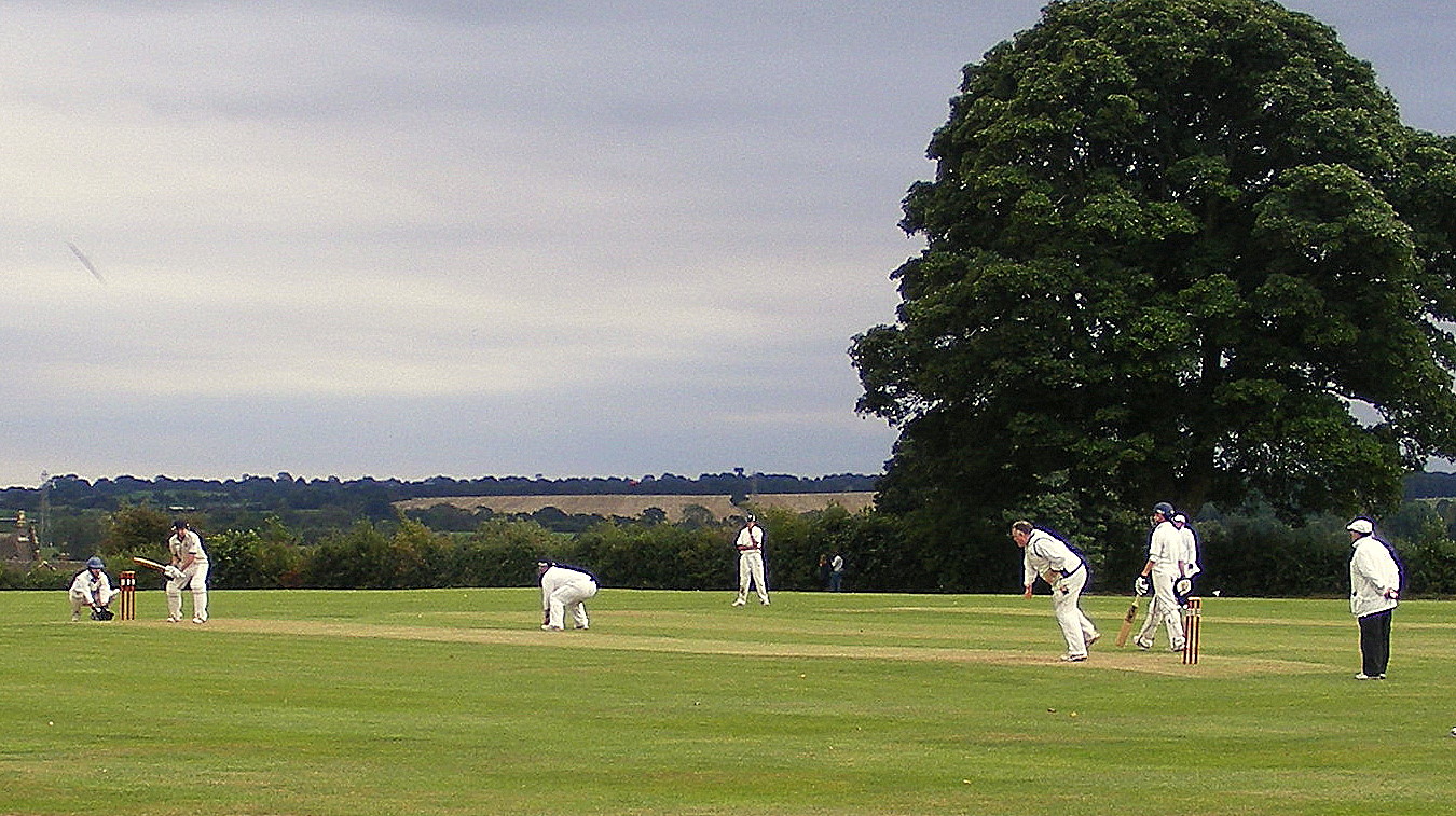 Staffordshire Photo Blythe blithe cricket