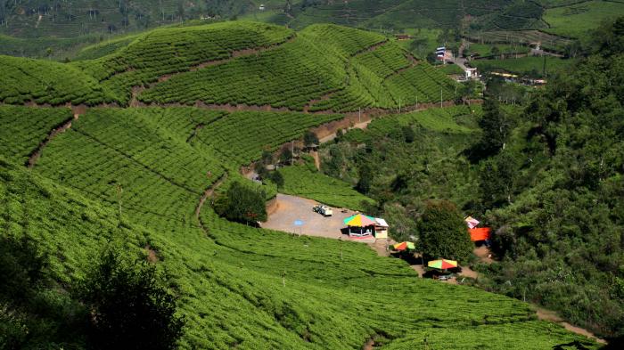 12 Tempat Wisata di Brebes yang Bagus Untuk Menghabiskan