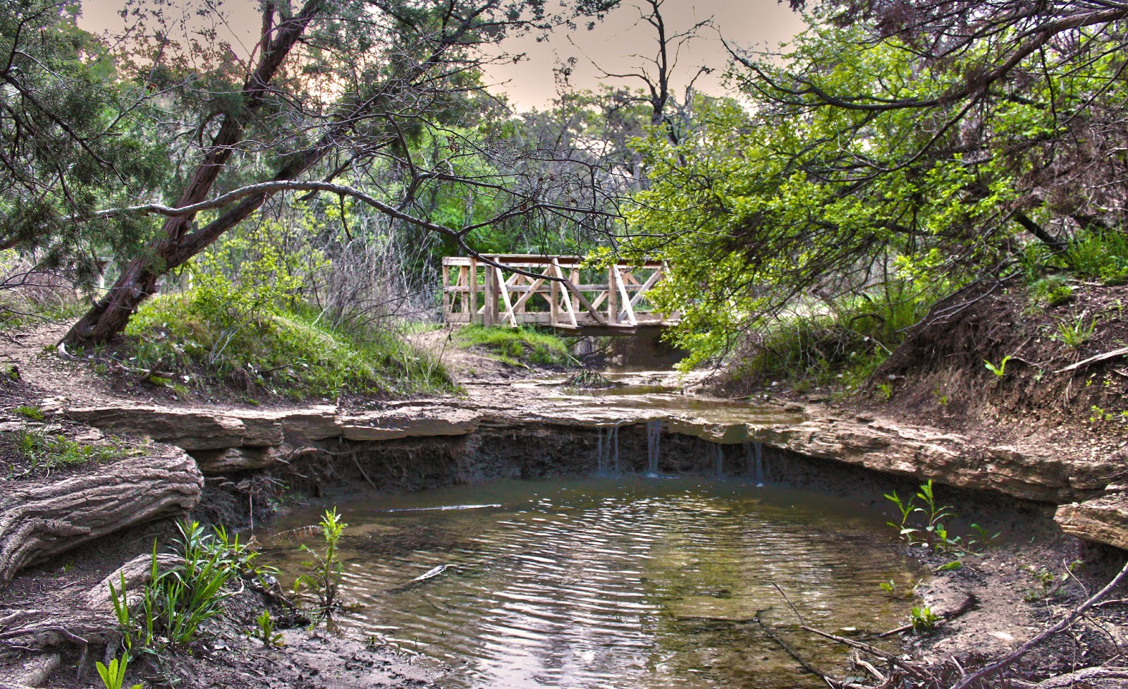 Rock Springs Nature Center Rock Springs Nature Center