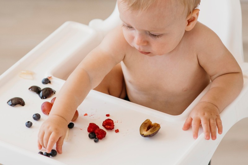 8 month baby food chart in Bengali for Bengali babies 8 months baby food in Bengali