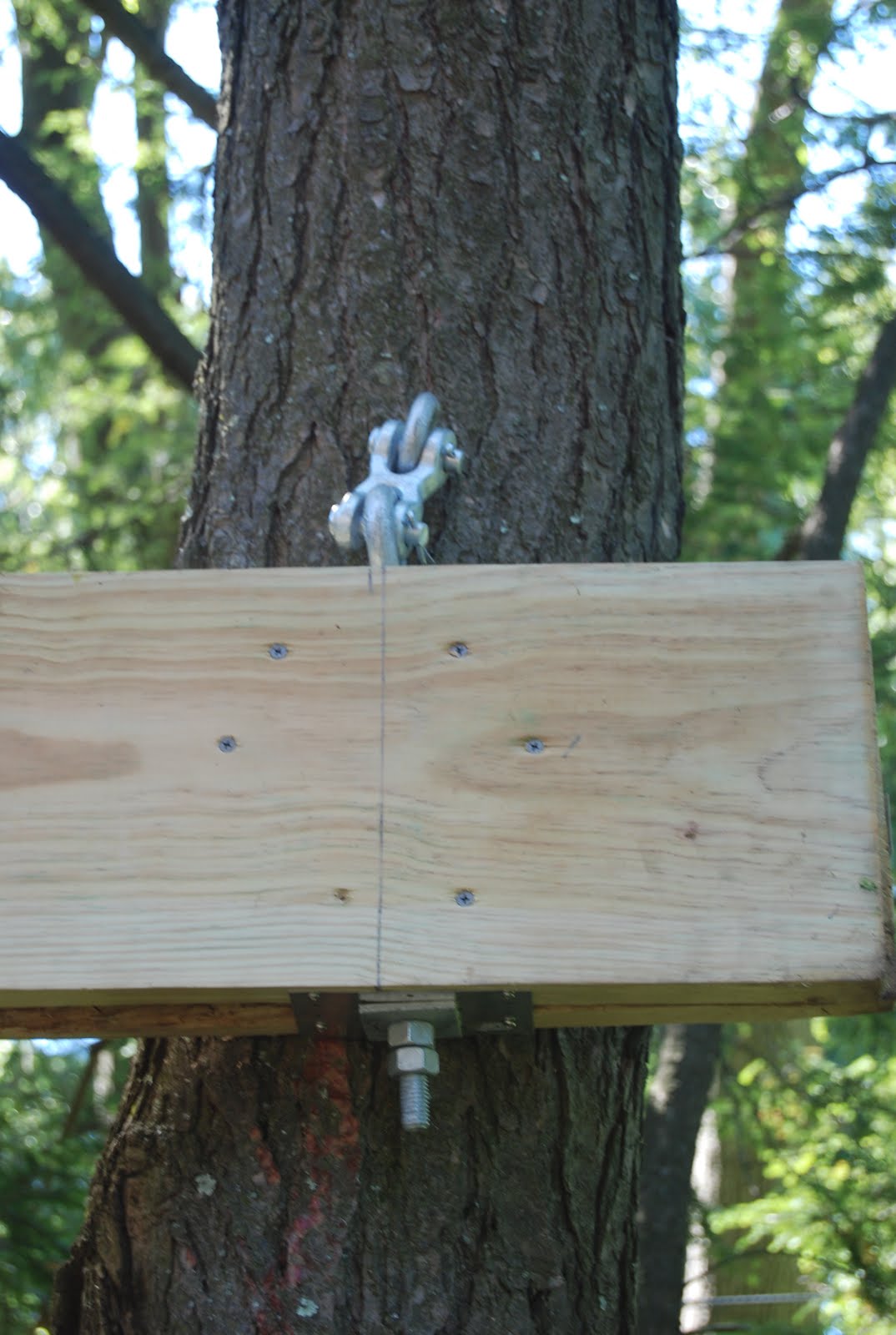 The Contemplative Treehouse Flexible anchor