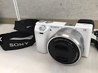 Sony A6000 Mirrorless Review