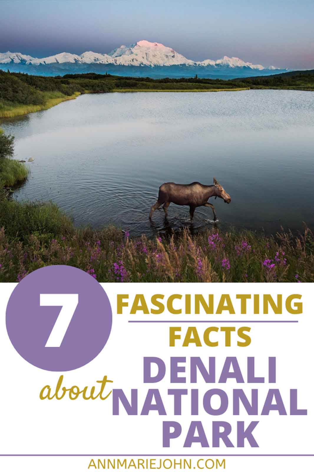 Fascinating Facts about Denali National Park