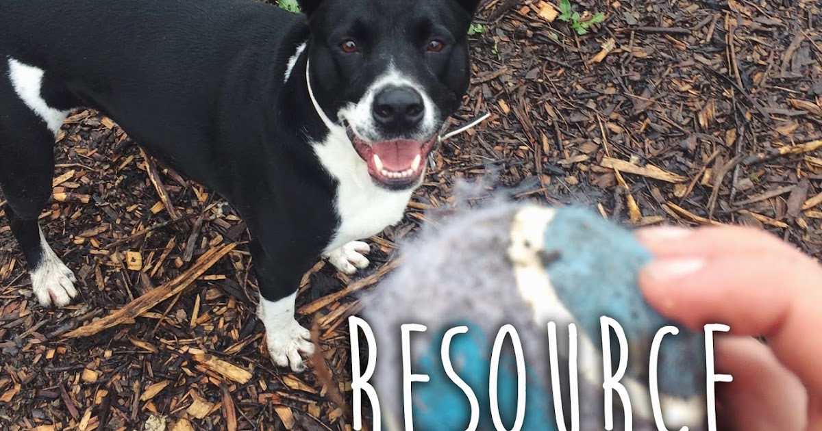 what is a dog resource guarding