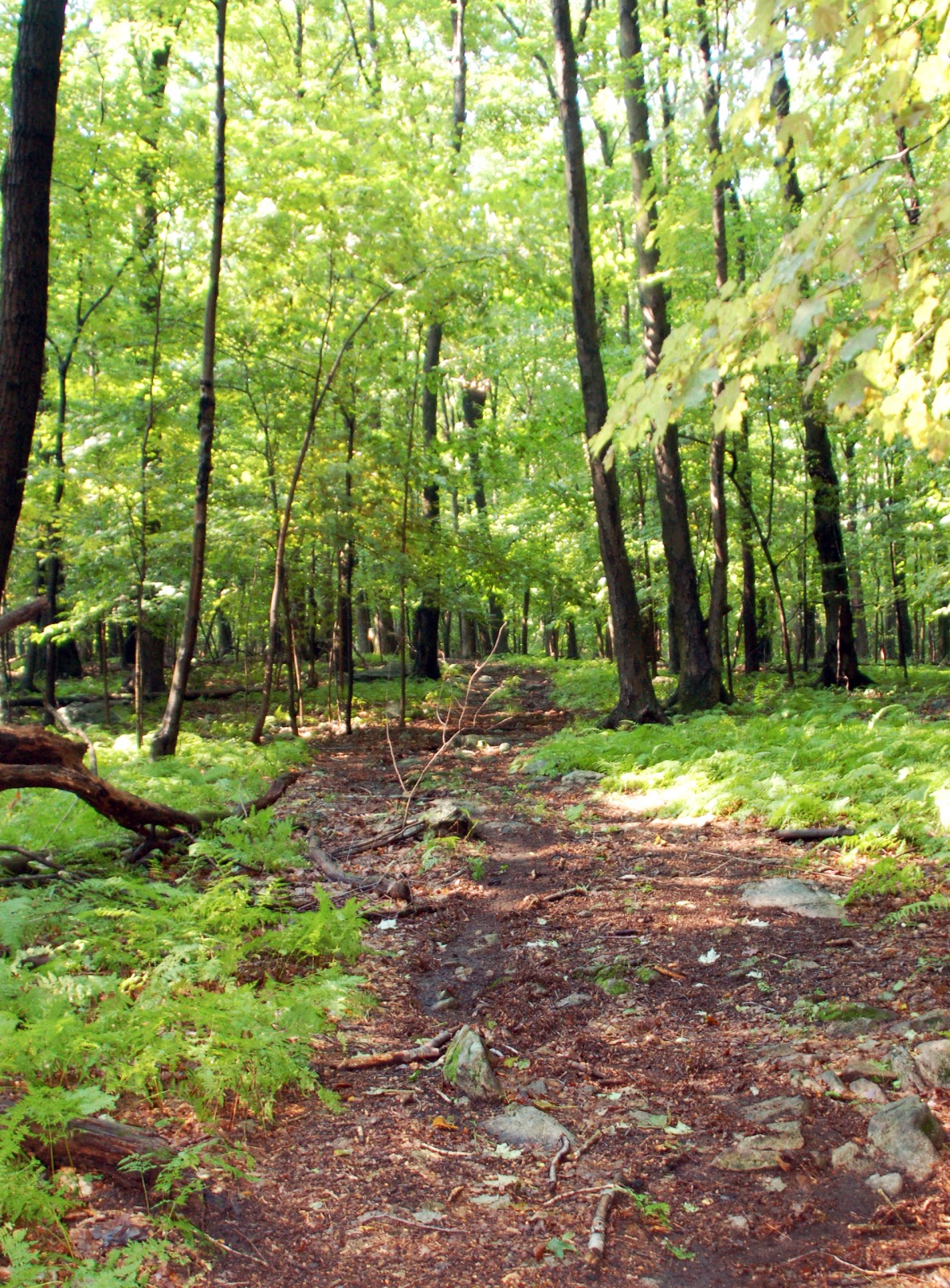 The Land Conservancy of N.J. Fifth and Sixth Properties Added to South